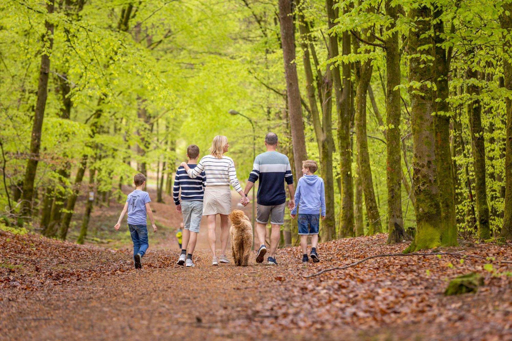 Ardennen Camping Bertrix Kültér fotó